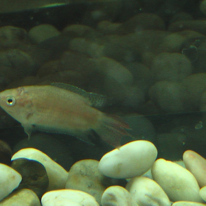 IMGA0517