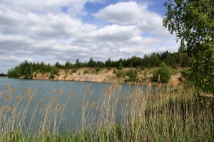 niczCisjt8I