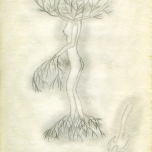 abl