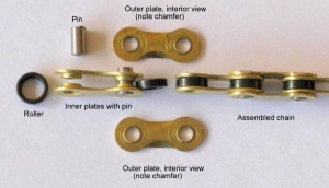 60212-largest_Wippermann_Chain_Anatomy