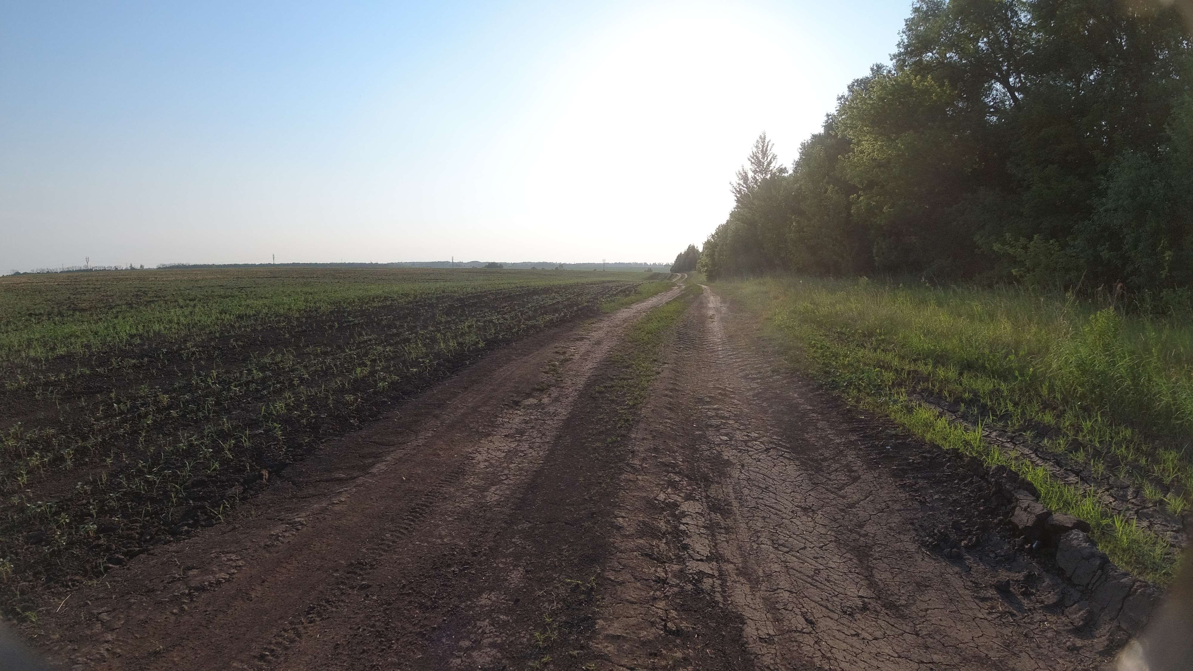 DJI_0046