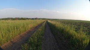 DJI_0050