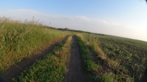 DJI_0051