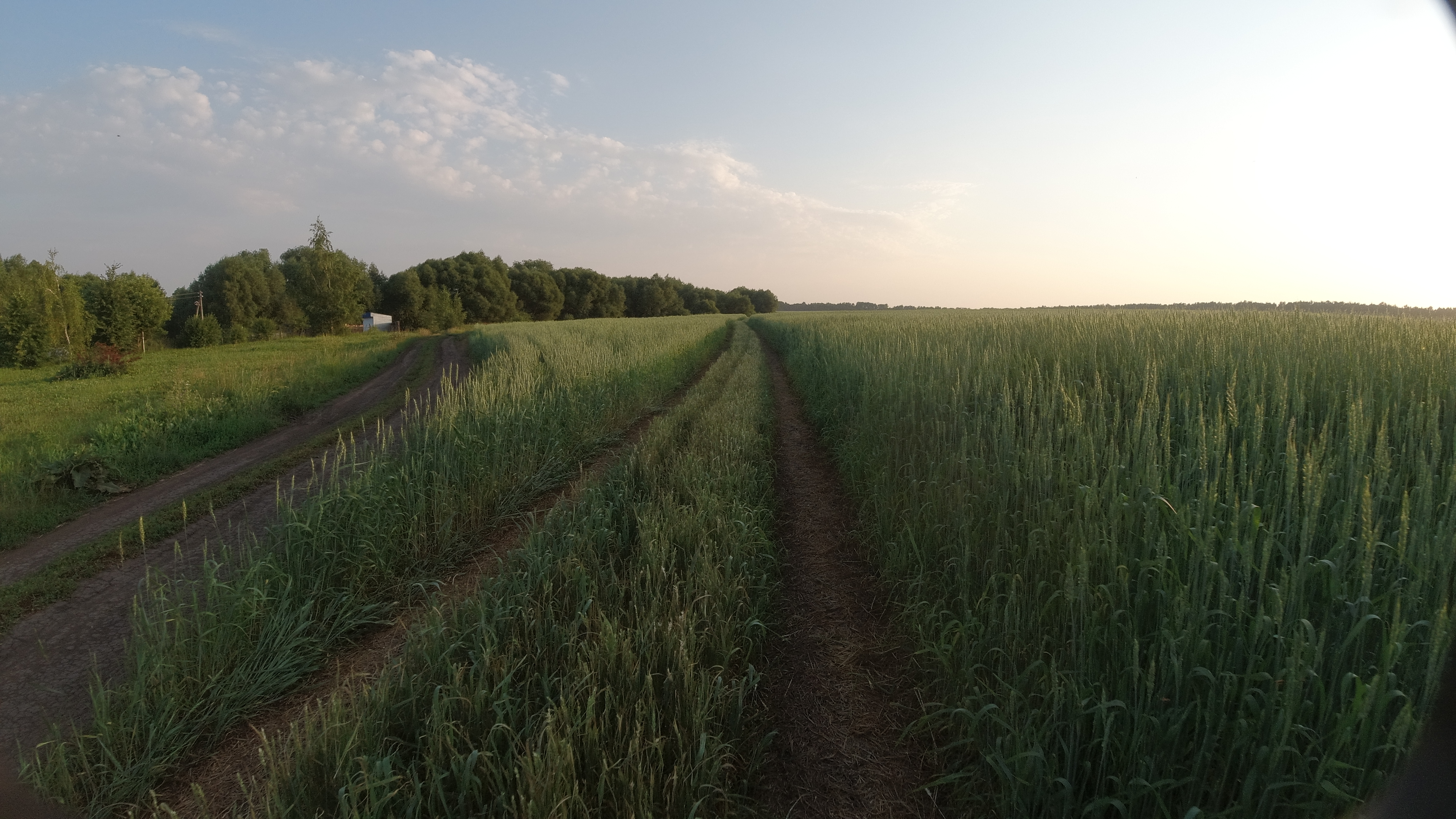DJI_0053