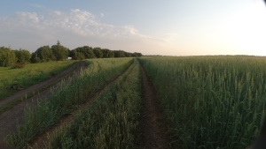 DJI_0053