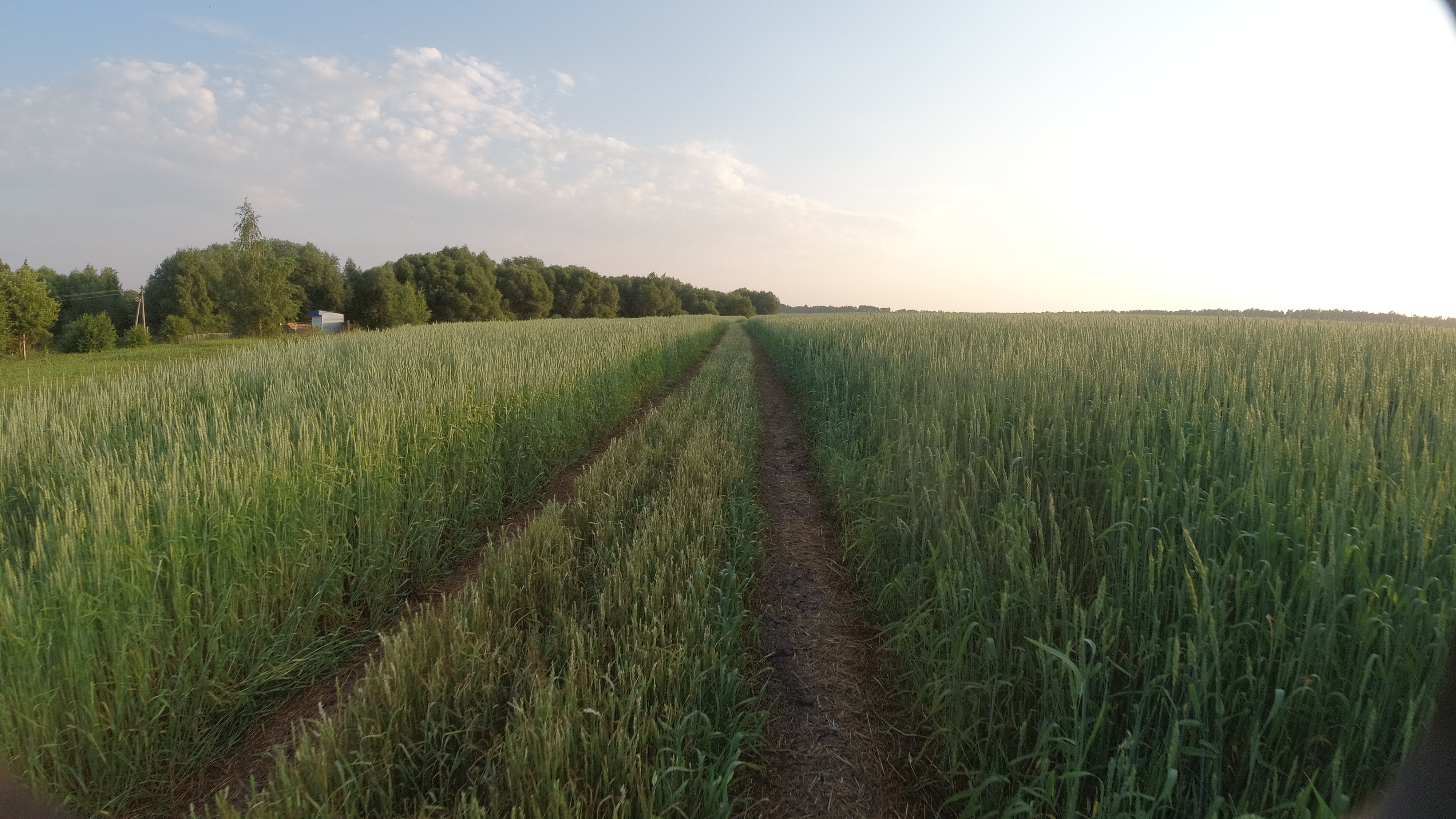 DJI_0054