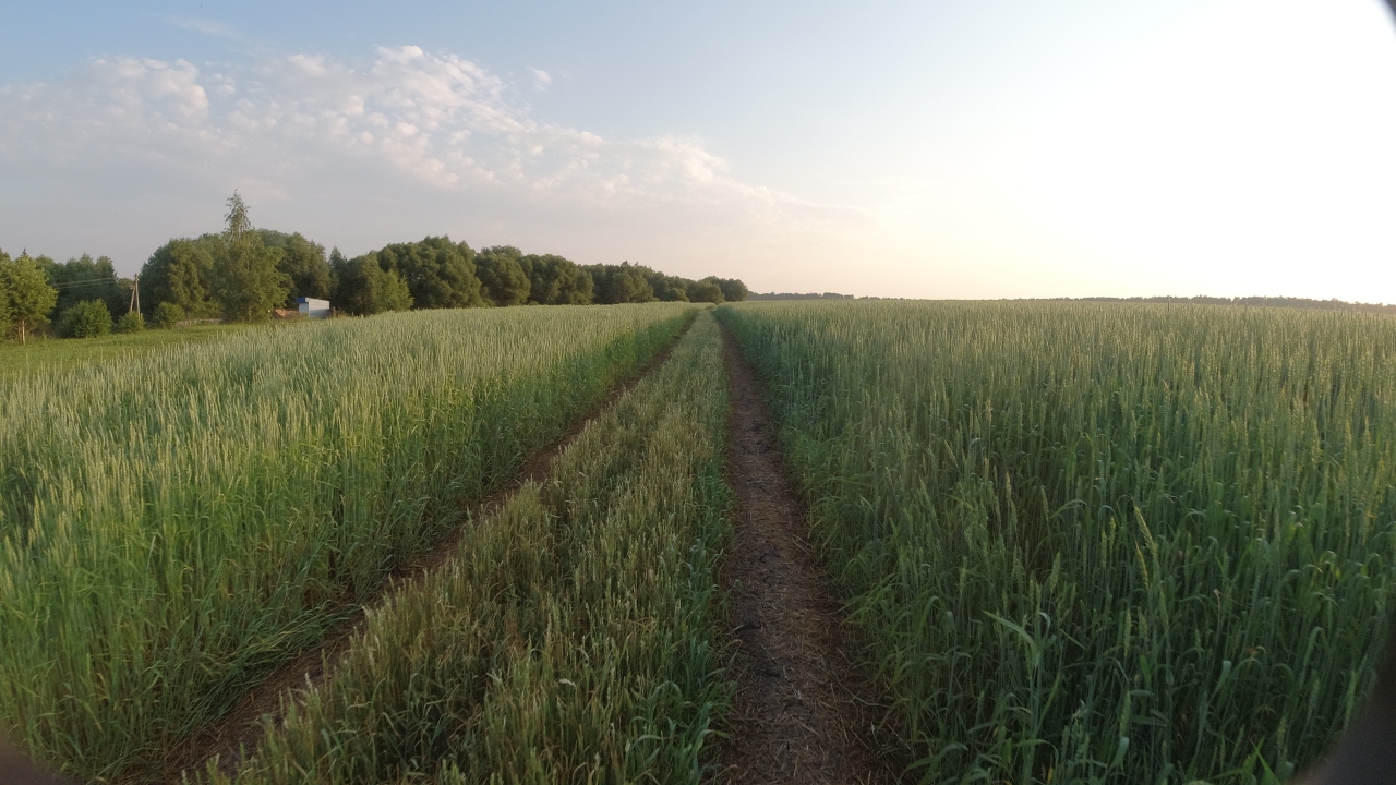 DJI_0054