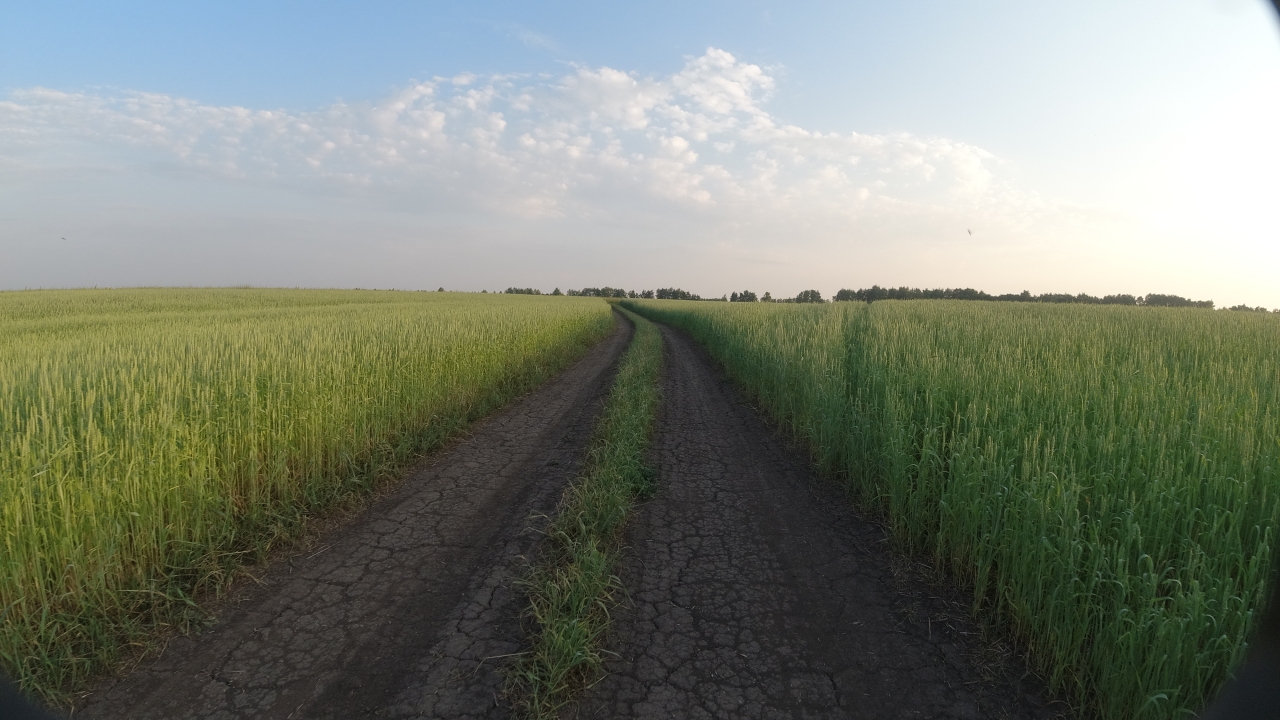 DJI_0055
