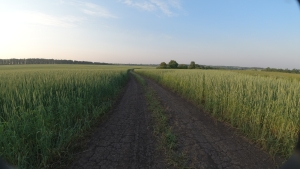 DJI_0057