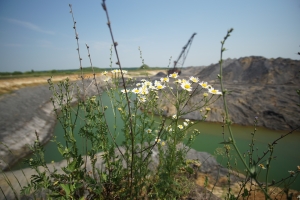 DSC07056
