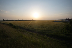 DSC07145