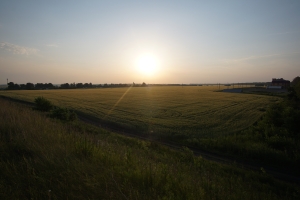 DSC07146