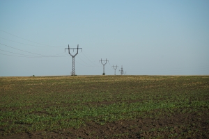 DSC08321