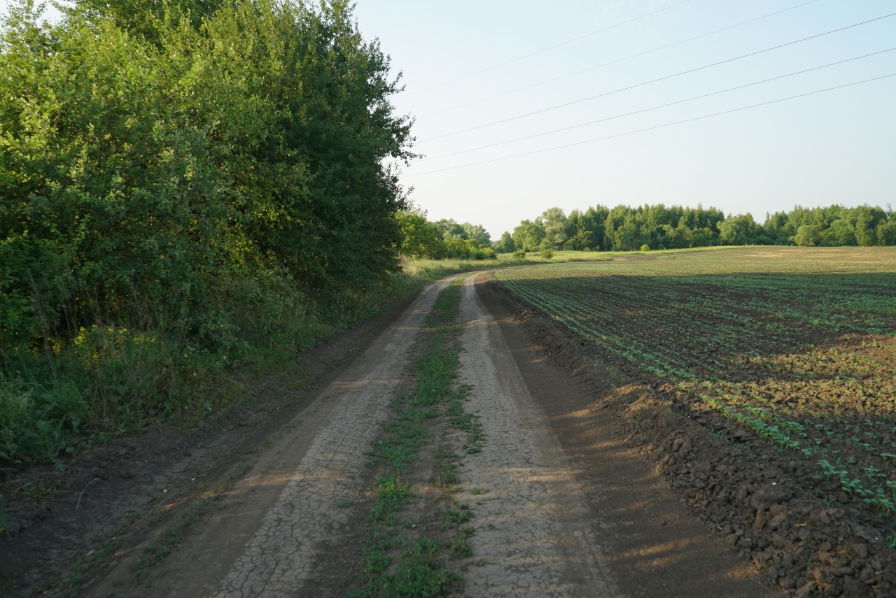 DSC08322
