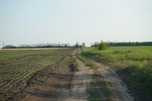 DSC08323