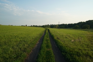 DSC08324