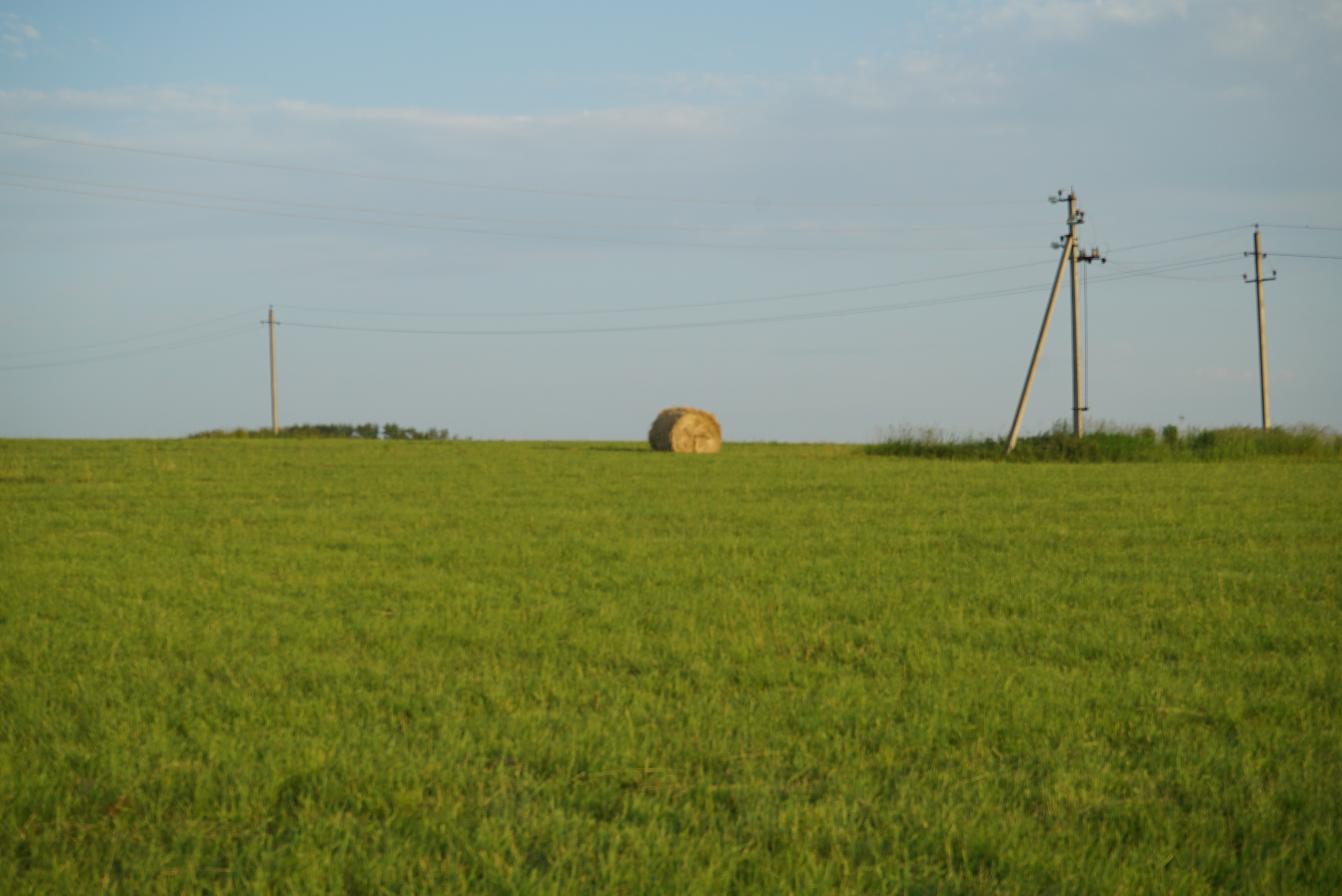 DSC08325