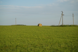 DSC08325