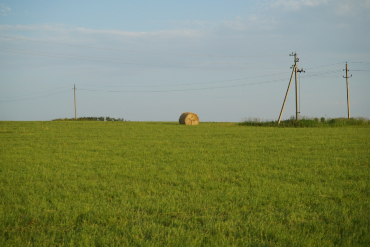 DSC08325