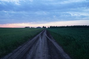 DSC08330